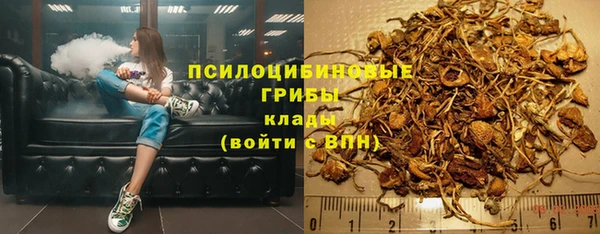 ПСИЛОЦИБИНОВЫЕ ГРИБЫ Лихославль