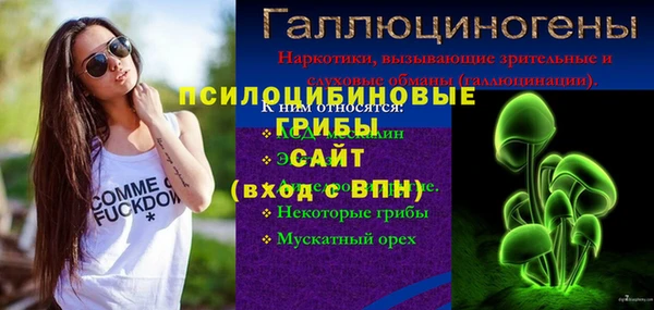 ПСИЛОЦИБИНОВЫЕ ГРИБЫ Лихославль