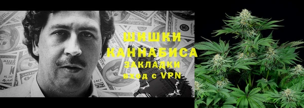 ПСИЛОЦИБИНОВЫЕ ГРИБЫ Лихославль