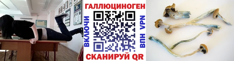 Галлюциногенные грибы прущие грибы мориарти клад Мышкин
