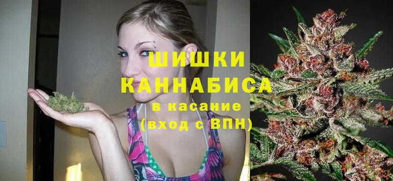 Канабис OG Kush  Мышкин 